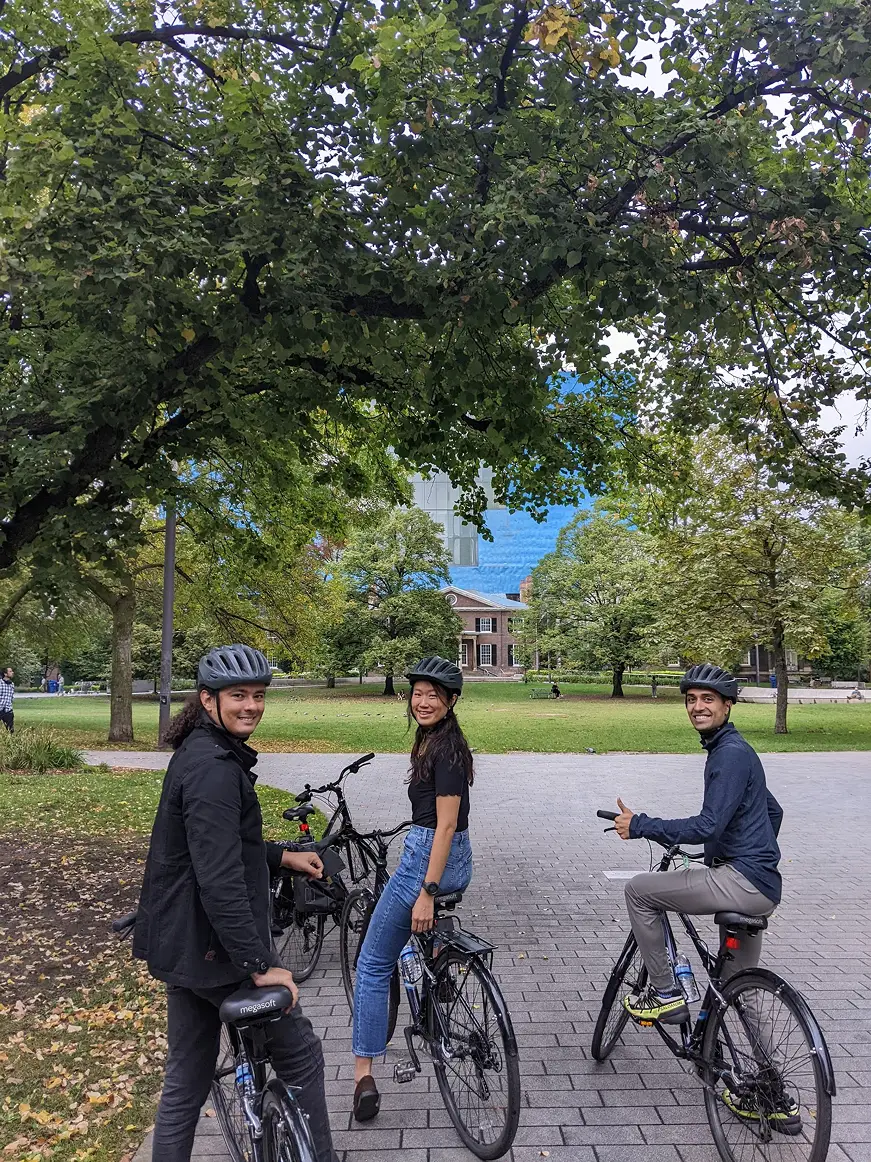 Anderson, Lichen and Basil